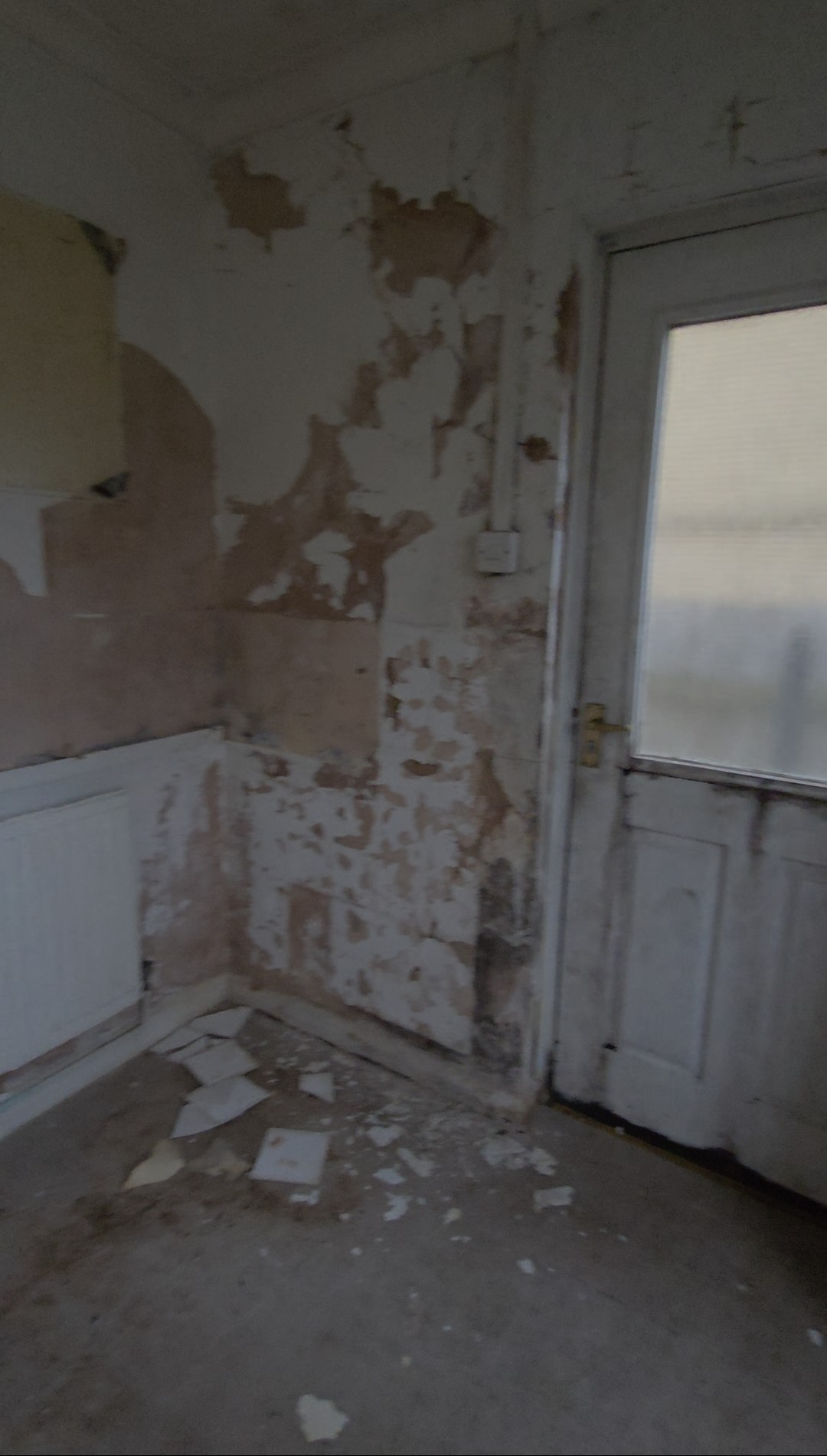 Kitchen back door before renovation